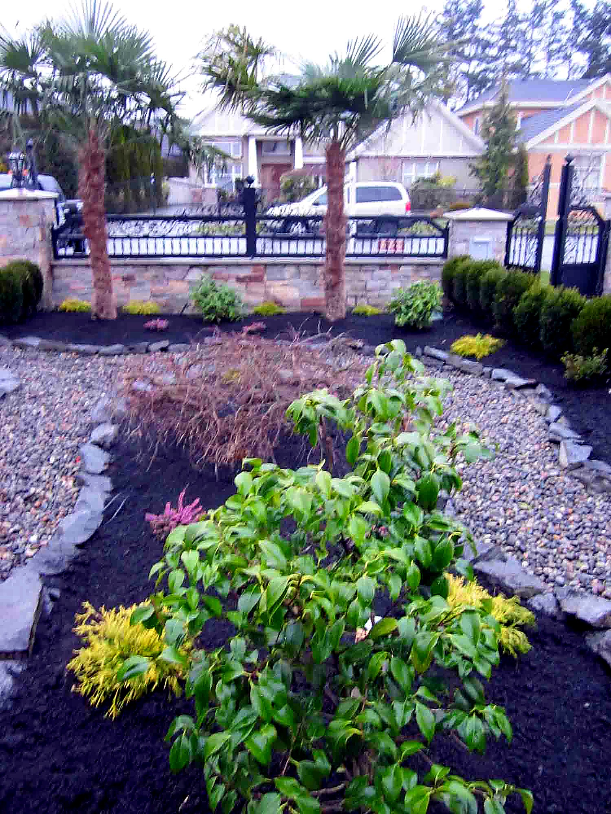 Rock garden bed with fresh planting
