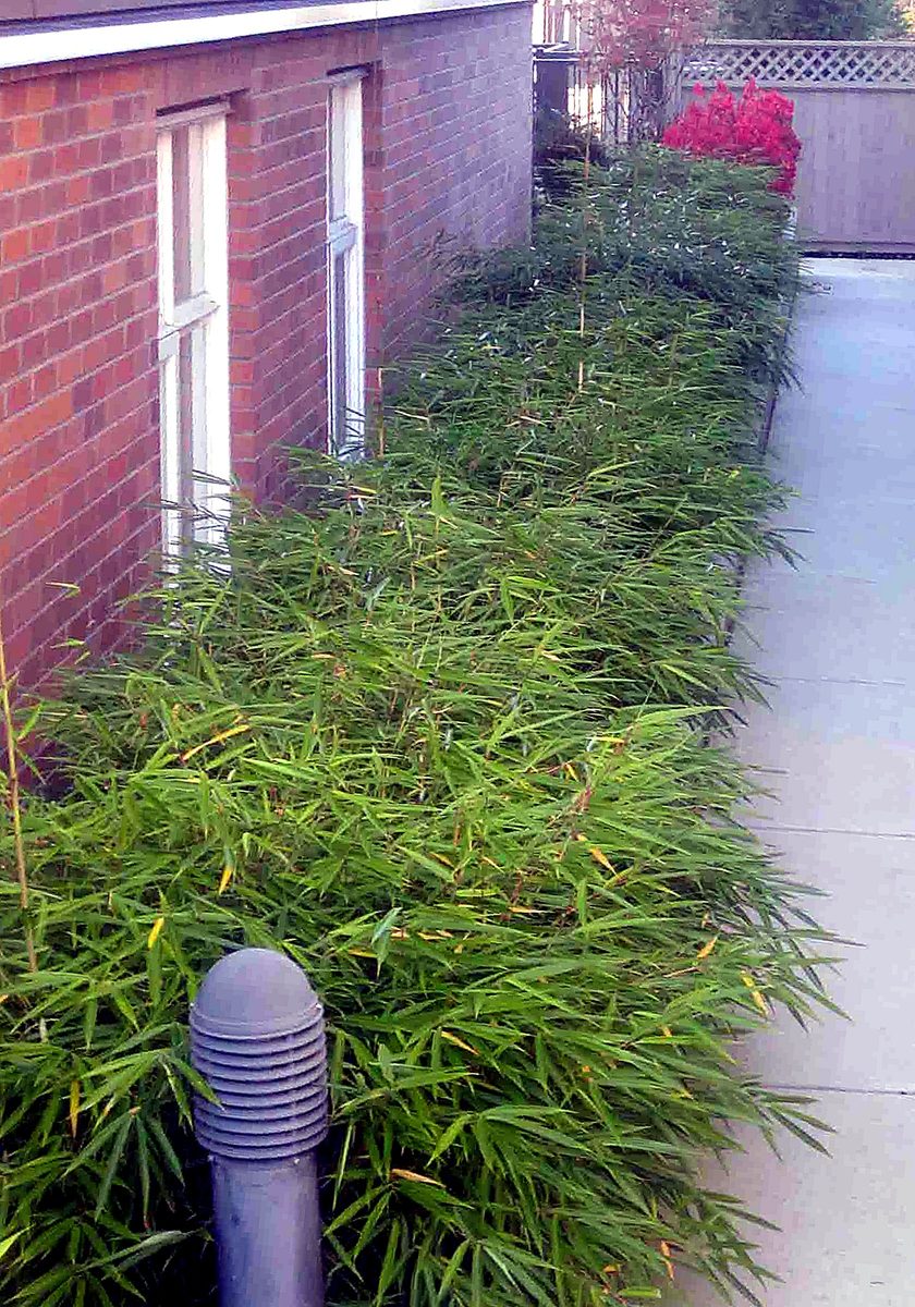 Herb's Landscaping project photo 7