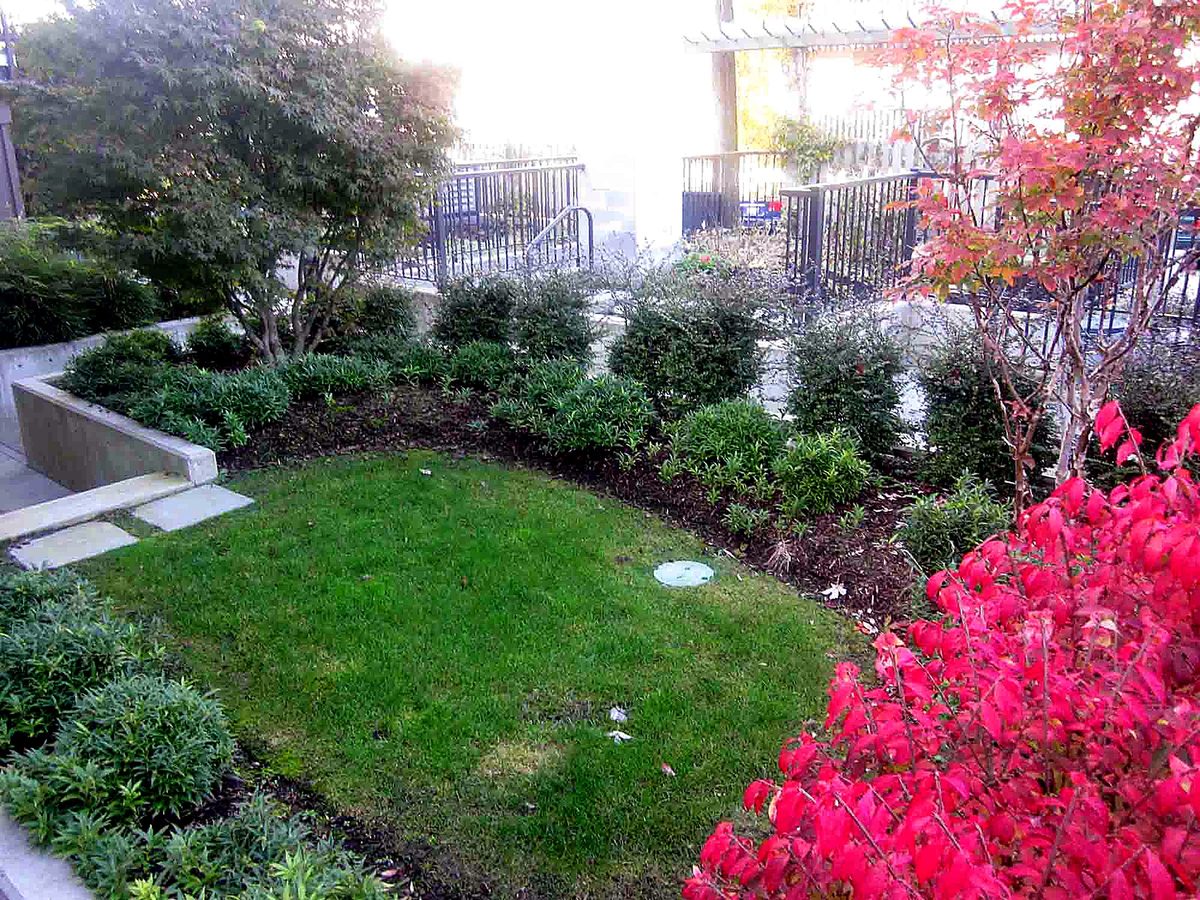 Herb's Landscaping project photo 9