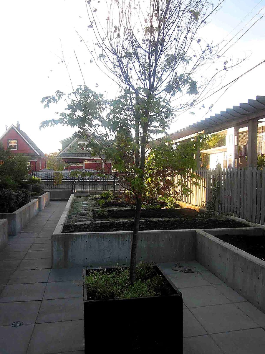 Herb's Landscaping project photo 11