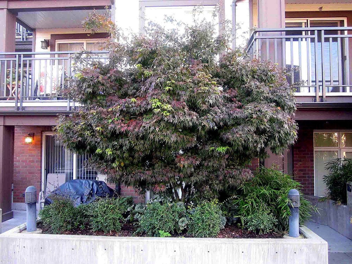 Herb's Landscaping project photo 12