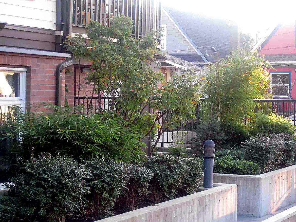 Herb's Landscaping project photo 13
