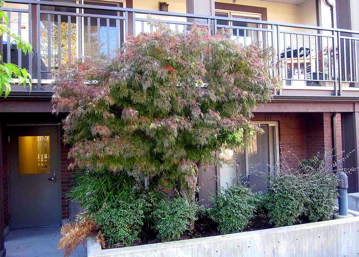 Herb's Landscaping project photo 14
