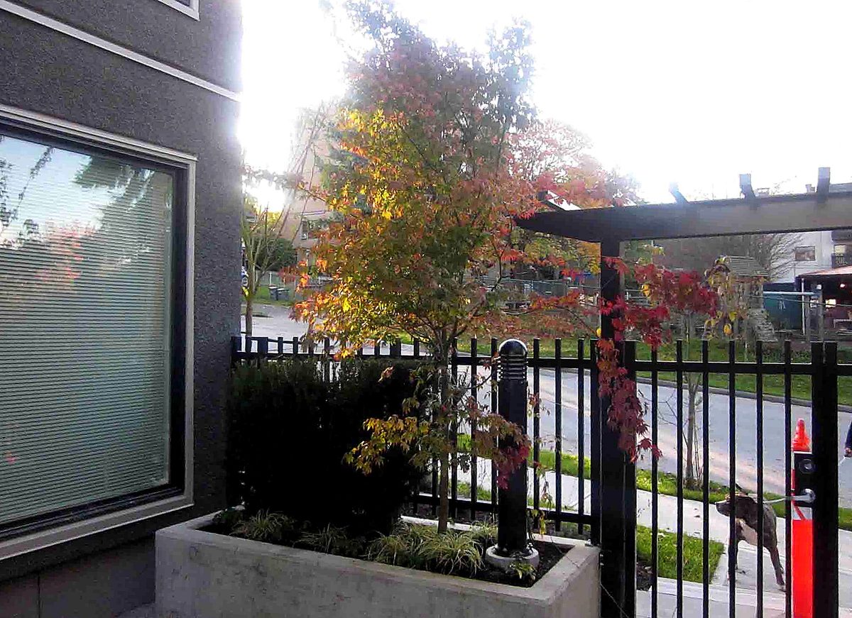 Herb's Landscaping project photo 17