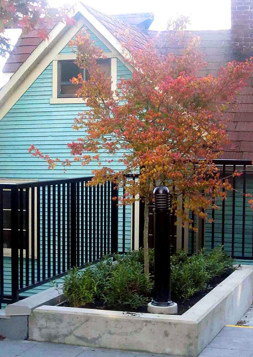 Herb's Landscaping project photo 18