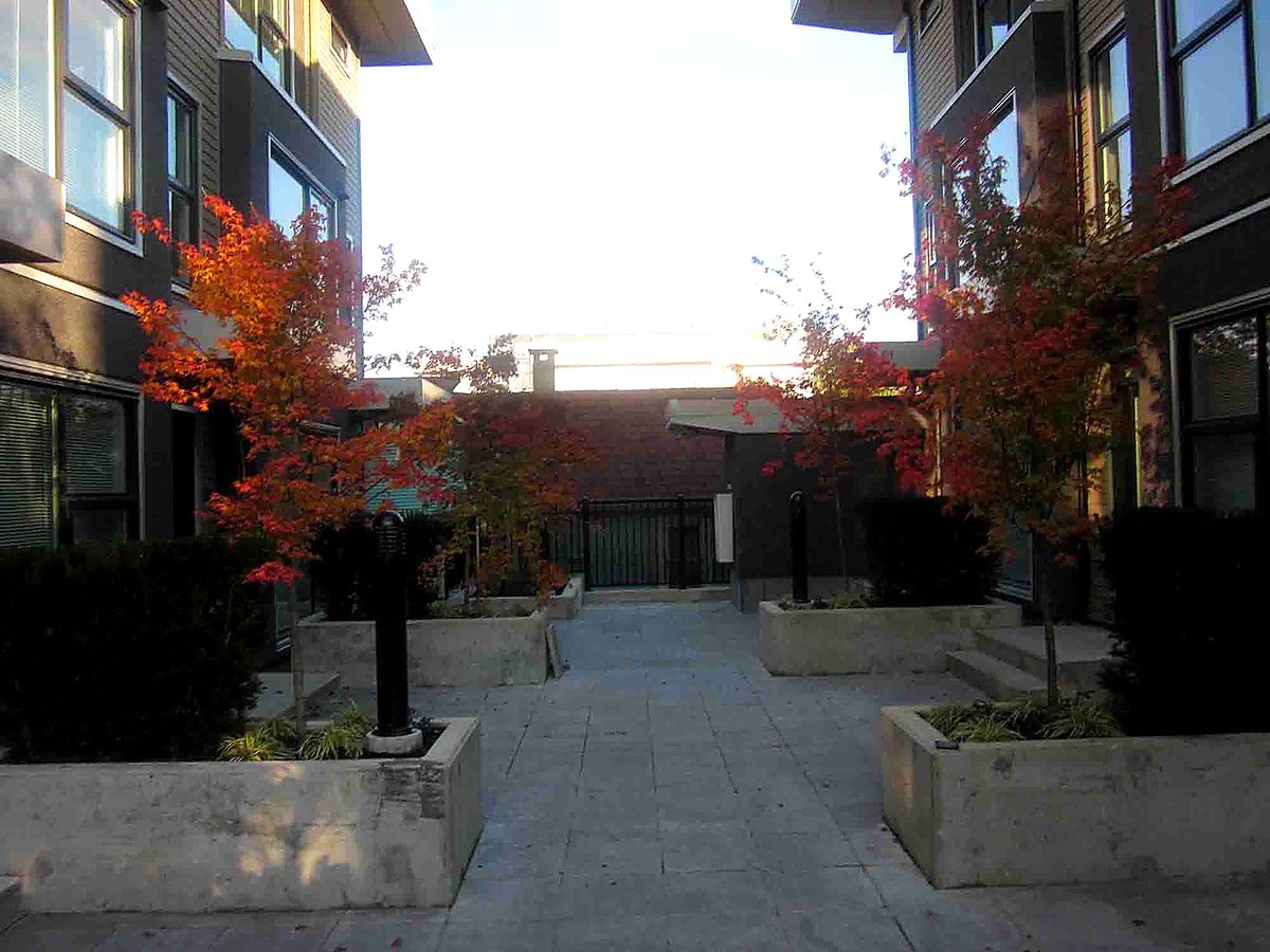 Herb's Landscaping project photo 20