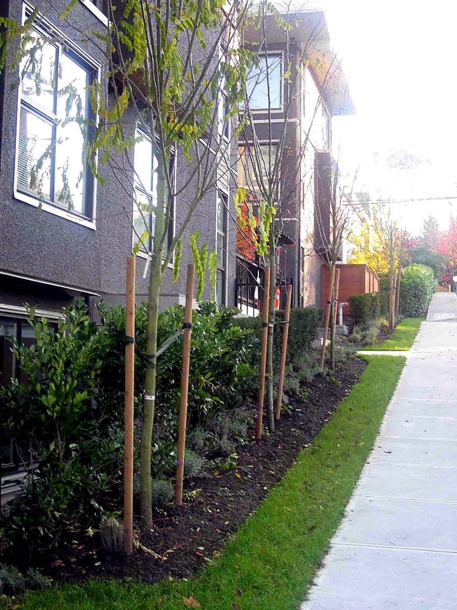 Herb's Landscaping project photo 21
