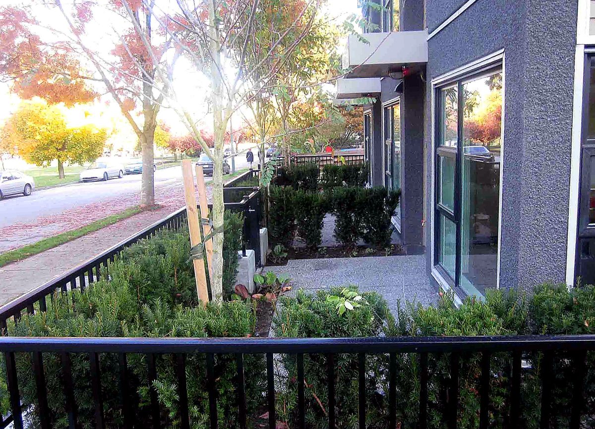Herb's Landscaping project photo 22