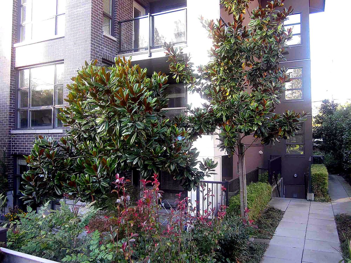 Herb's Landscaping project photo 26