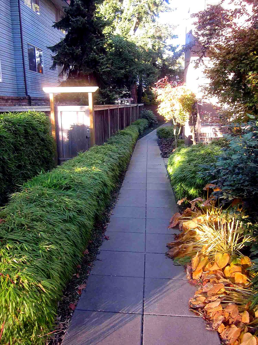 Herb's Landscaping project photo 27