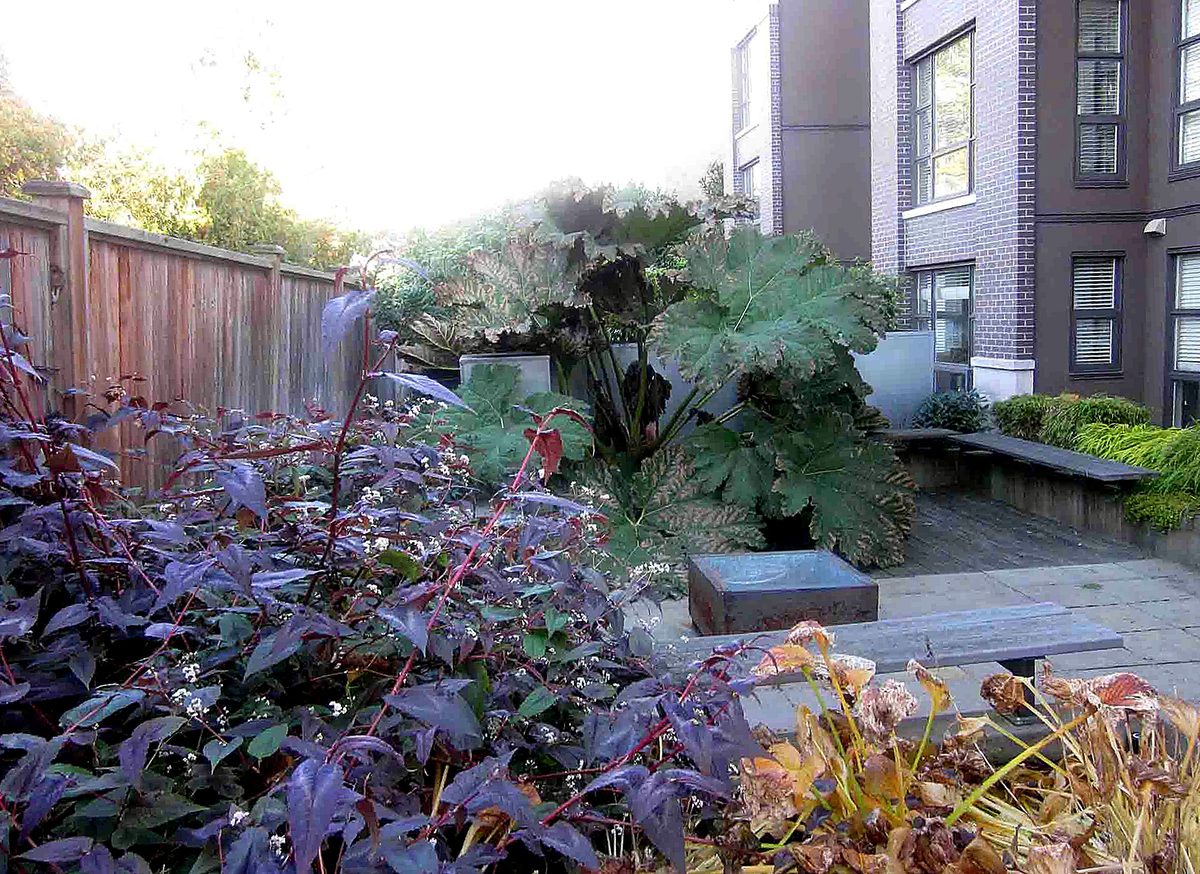 Herb's Landscaping project photo 28