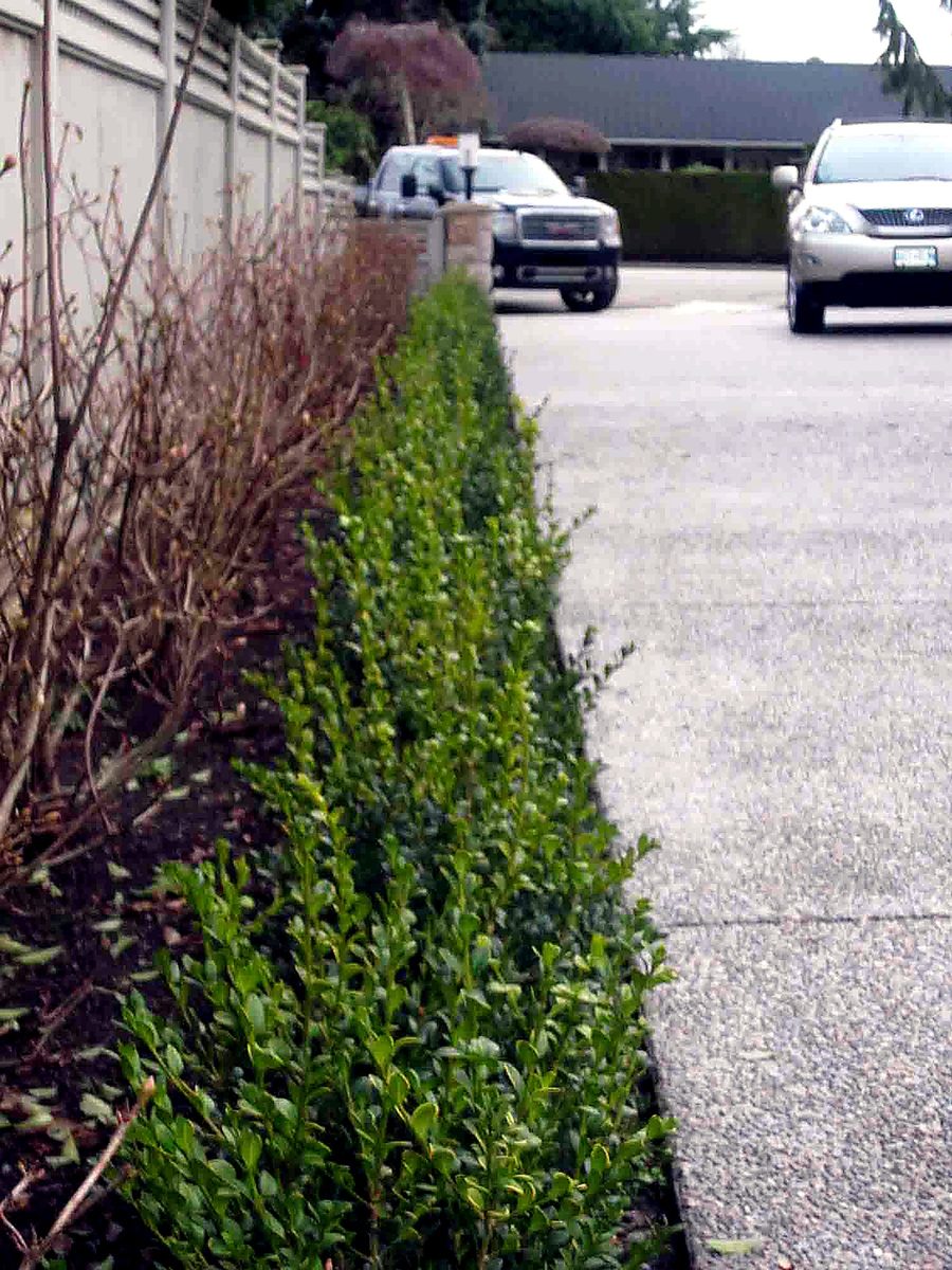 Herb's Landscaping project photo 45
