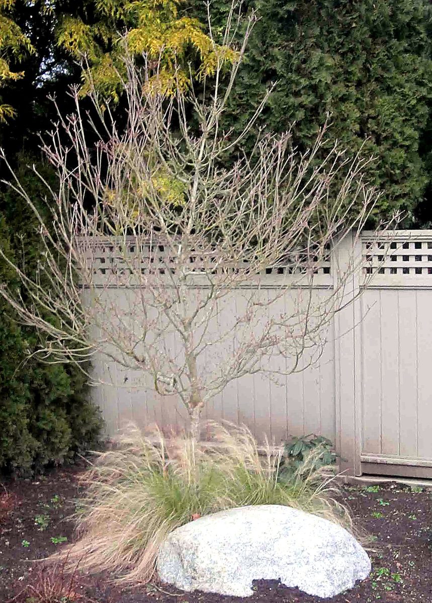 Herb's Landscaping project photo 46