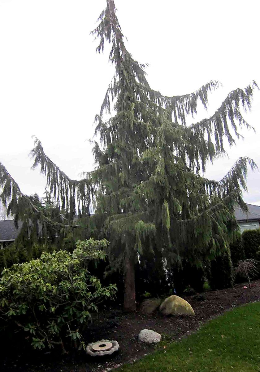 Herb's Landscaping project photo 50