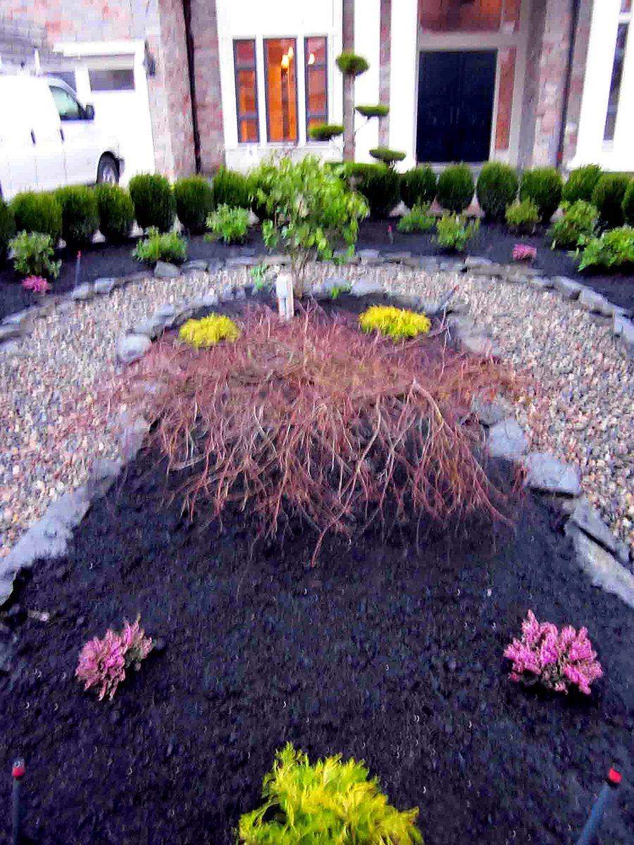 Herb's Landscaping project photo 74