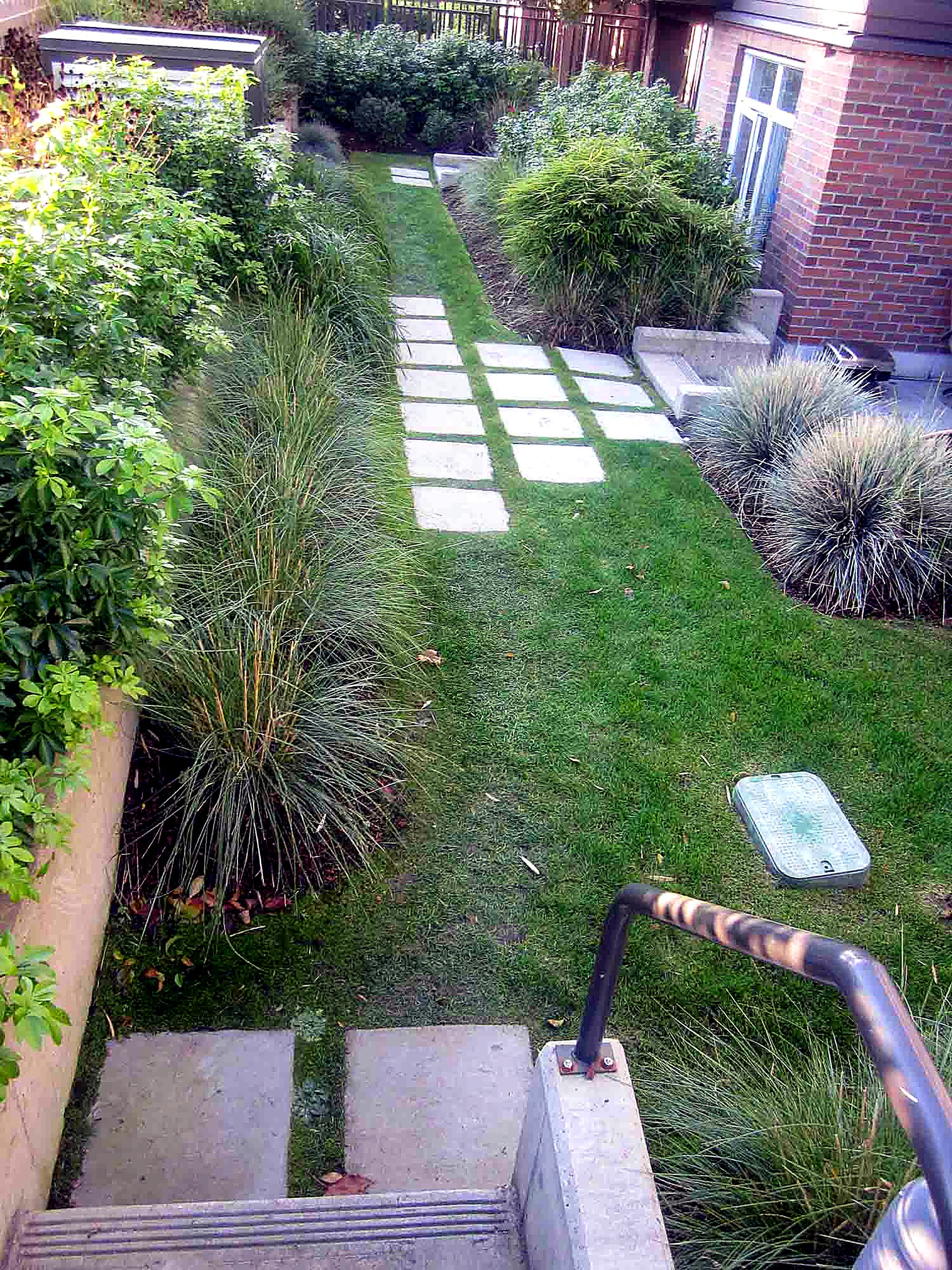 Garden stairs beside stepping stones and ornamental grasses
